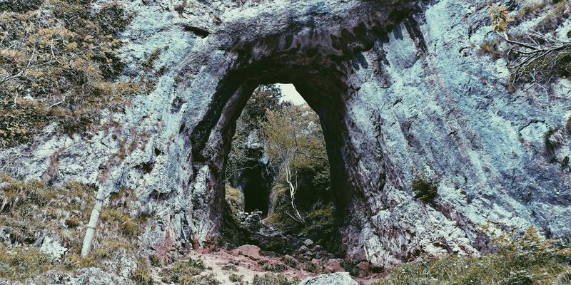 Firestick vs Roku: Which is better?